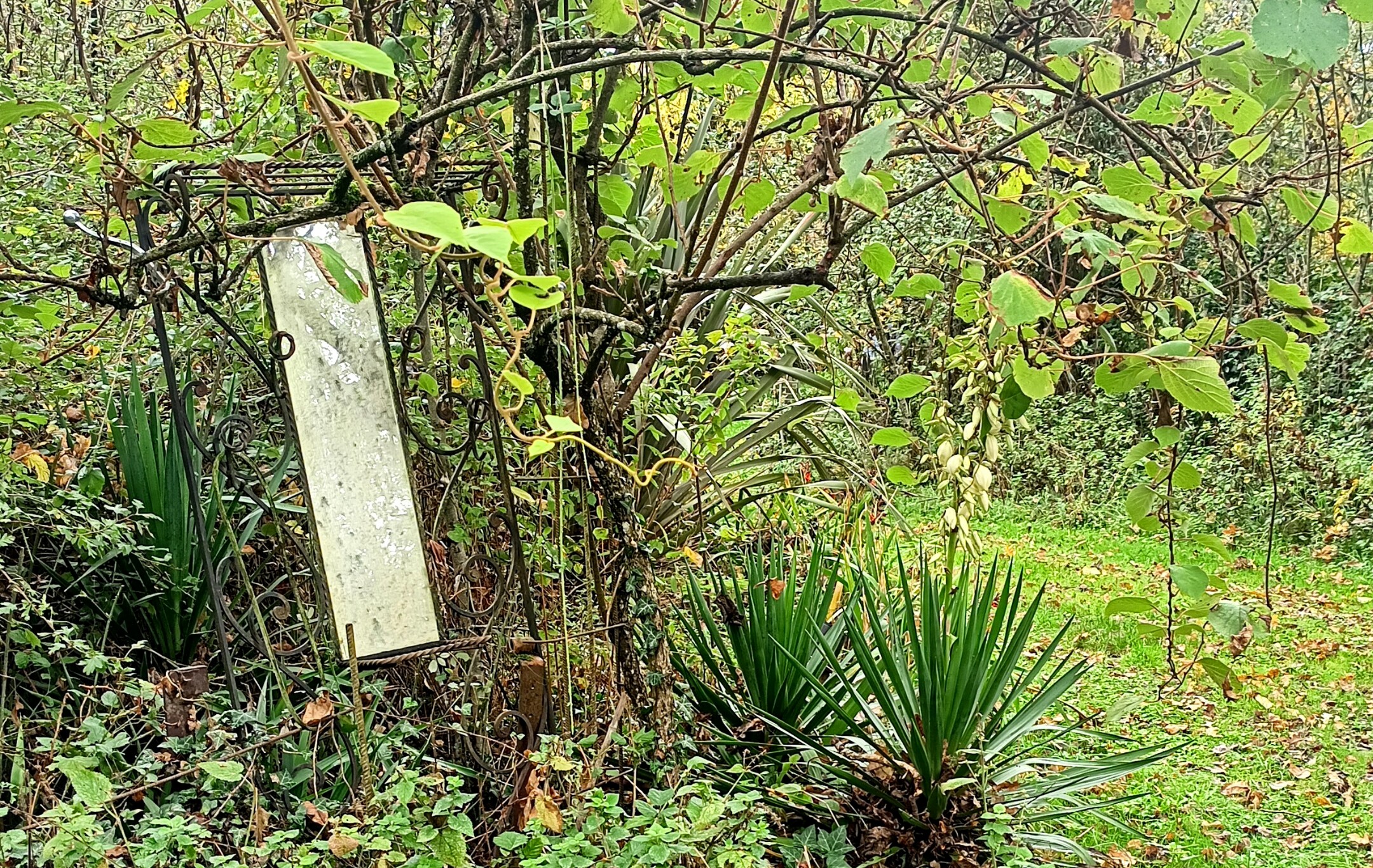 Le jardin se met en repos hivernal